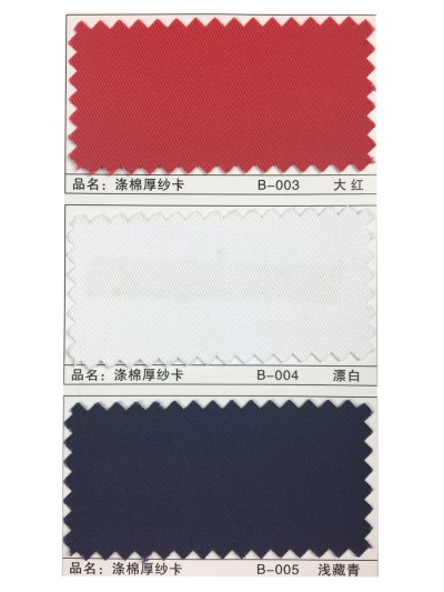 GZ-XNCG   滌棉厚紗卡  T65/C35  20*16 120*60 細節-2